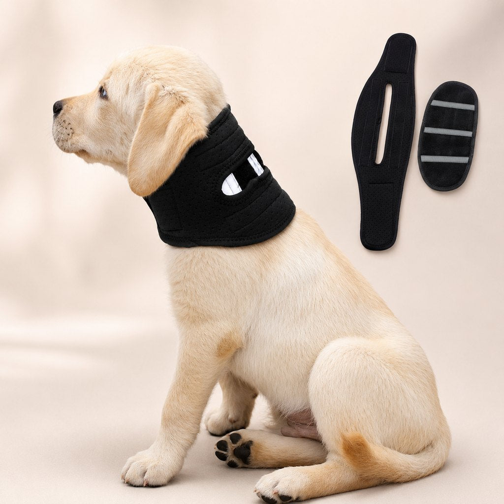 Dog Neck Brace for Post-Surgery Recovery & Daily Neck Support