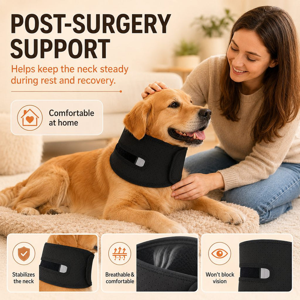 Dog Neck Brace for Post-Surgery Recovery & Daily Neck Support