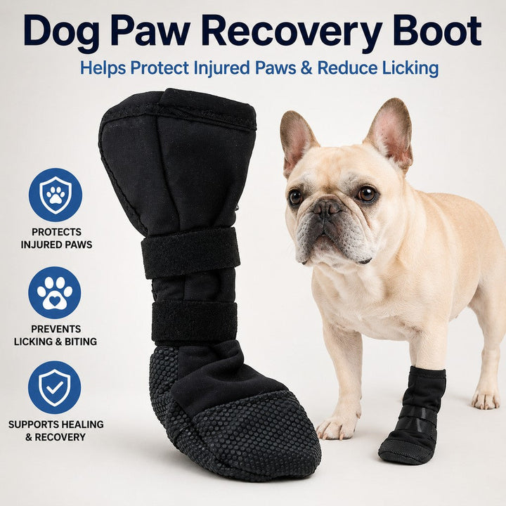 Dog Paw Recovery Boot for Home Rest & Walks | Anti-Lick Protective Cover for Injured Paws