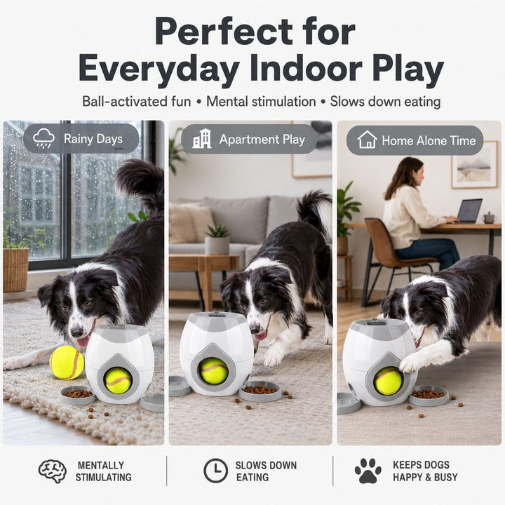 Ball-Activated Dog Puzzle Feeder for Indoor Play & Slow Eating
