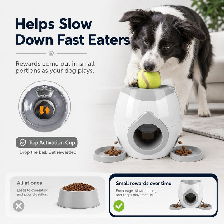 Ball-Activated Dog Puzzle Feeder for Indoor Play & Slow Eating