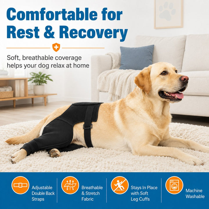 Dog Rear Leg Recovery Sleeve for Post-Surgery Care & Licking Protection