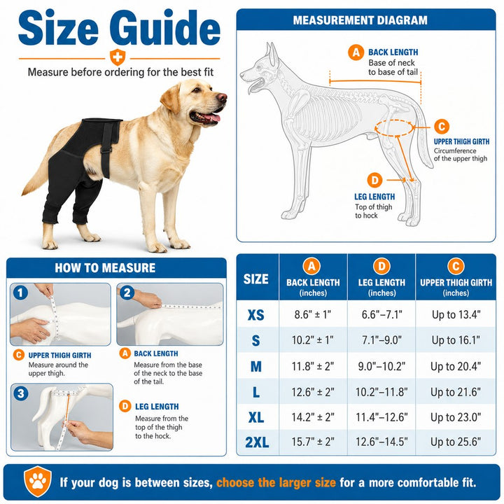 Dog Rear Leg Recovery Sleeve for Post-Surgery Care & Licking Protection