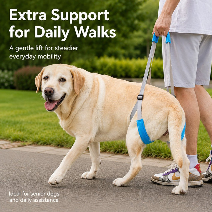 Dog Rear Leg Lift Support Sling for Stairs & Cars | Senior Dog Mobility Support