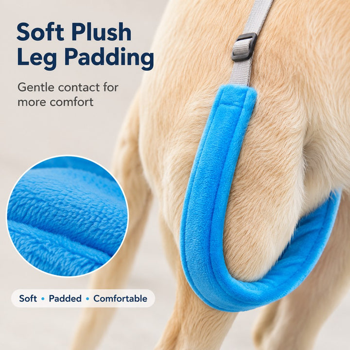 Dog Rear Leg Lift Support Sling for Stairs & Cars | Senior Dog Mobility Support