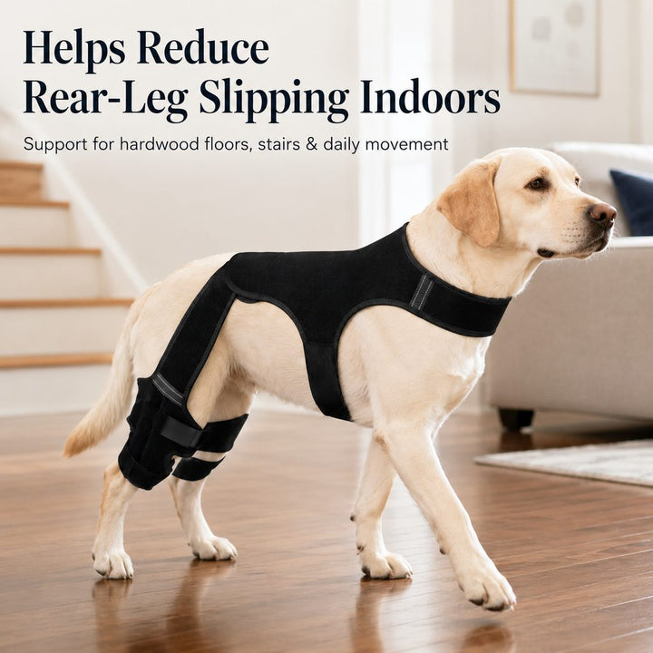 RearGuard Dog Rear Leg Support Brace