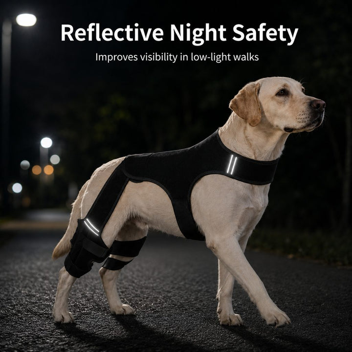 RearGuard Dog Rear Leg Support Brace