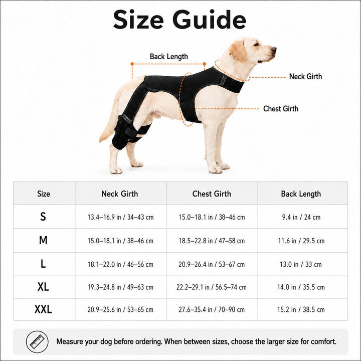 RearGuard Dog Rear Leg Support Brace