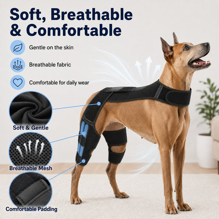 Dog Rear Leg Support Harness for Senior Dogs
