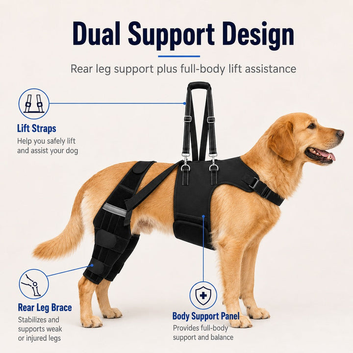 Dog Rear Leg Support Harness for Senior Dogs | Walking & Mobility Lift Assistance