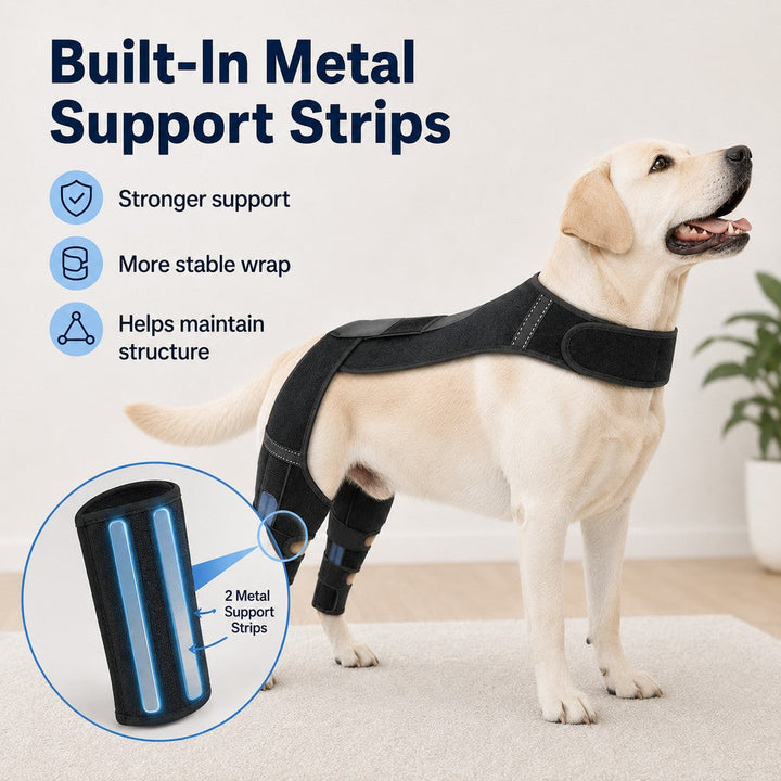 Dog Rear Leg Support Harness for Senior Dogs
