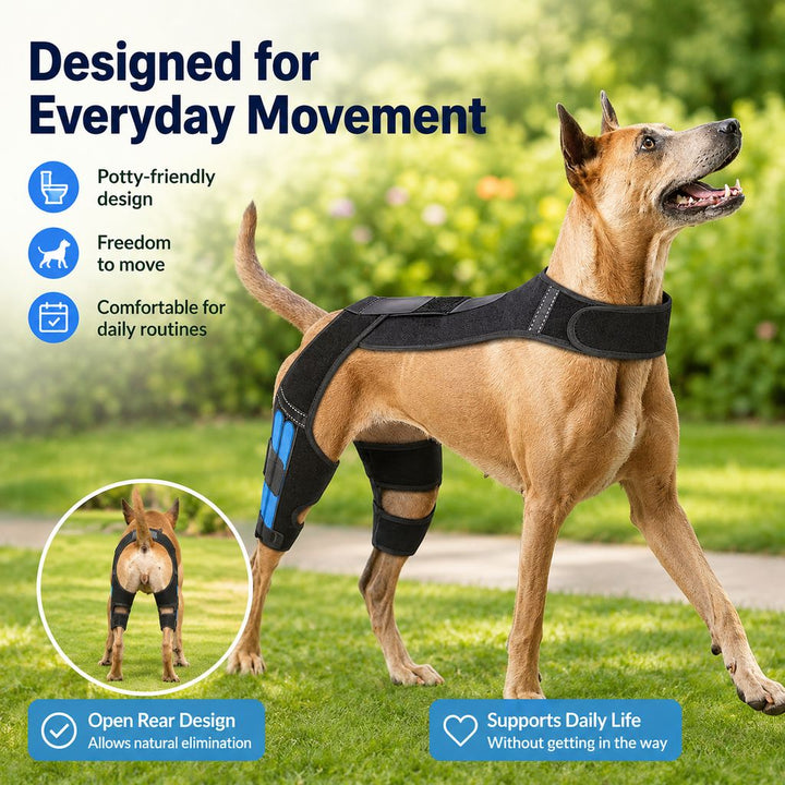 Dog Rear Leg Support Harness for Senior Dogs