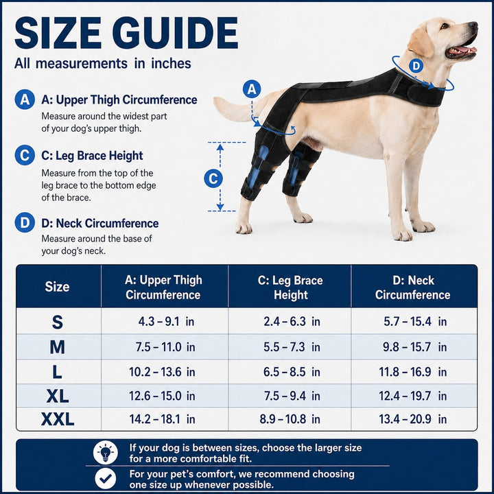 Dog Rear Leg Support Harness for Senior Dogs
