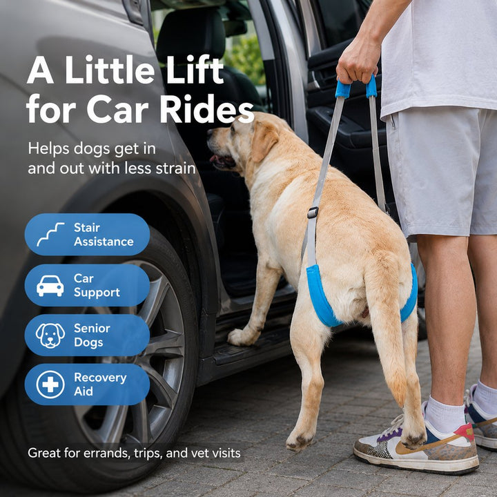 Dog Rear Leg Lift Support Sling for Stairs & Cars | Senior Dog Mobility Support