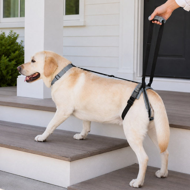 Adjustable Dog Rear Lift Support Harness
