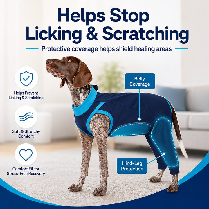 Dog Recovery Suit with Rear Leg Coverage | Anti-Lick Cone Alternative
