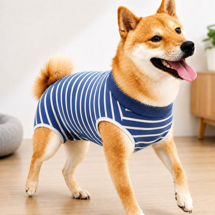 Dog Post-Surgery Recovery Suit for Spay & Neuter | Anti-Lick Cone Alternative