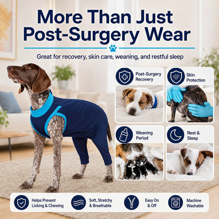Dog Recovery Suit with Rear Leg Coverage | Anti-Lick Cone Alternative