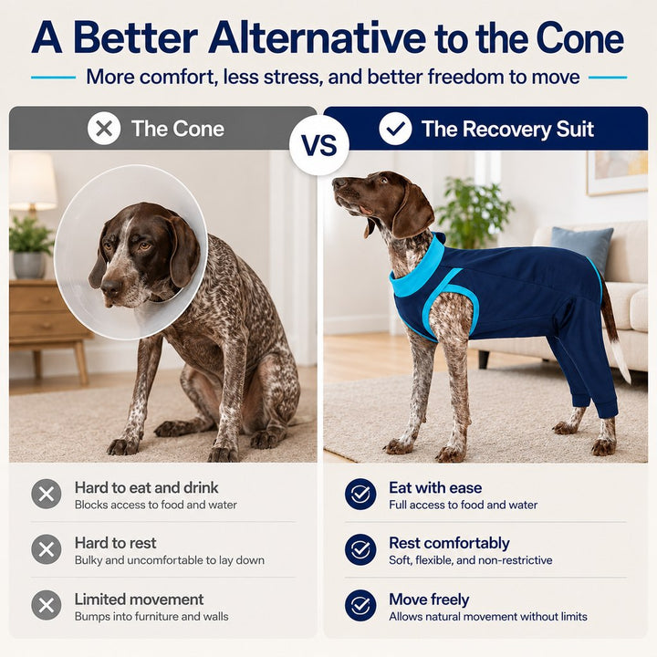 Dog Recovery Suit with Rear Leg Coverage | Anti-Lick Cone Alternative