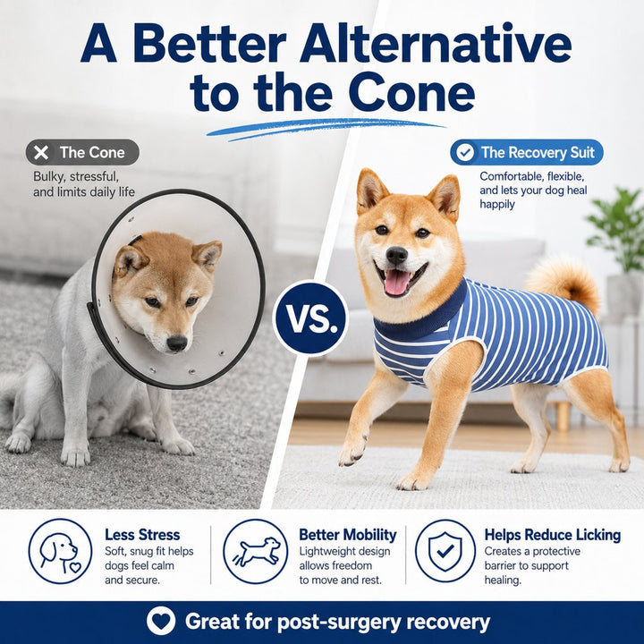 Dog Post-Surgery Recovery Suit for Spay & Neuter | Anti-Lick Cone Alternative