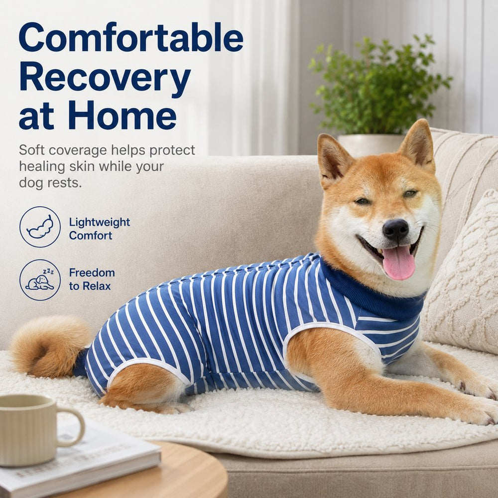 Dog Post-Surgery Recovery Suit for Spay & Neuter | Anti-Lick Cone Alternative