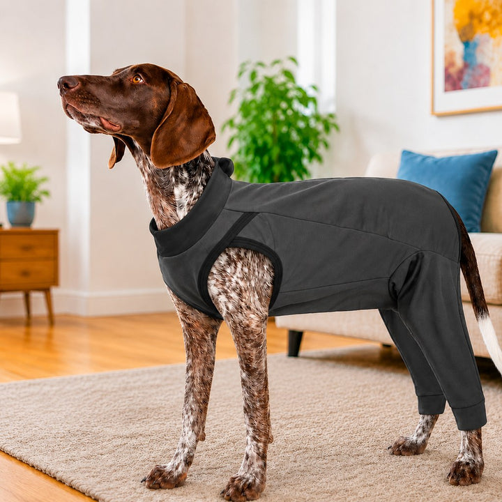 Dog Recovery Suit with Rear Leg Coverage | Anti-Lick Cone Alternative
