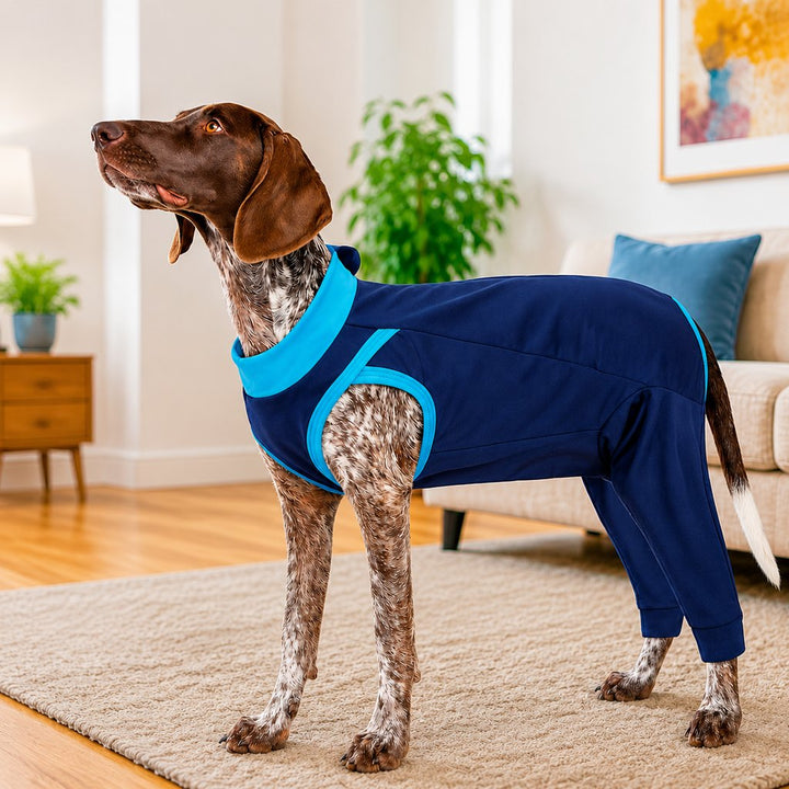 Dog Recovery Suit with Rear Leg Coverage | Anti-Lick Cone Alternative
