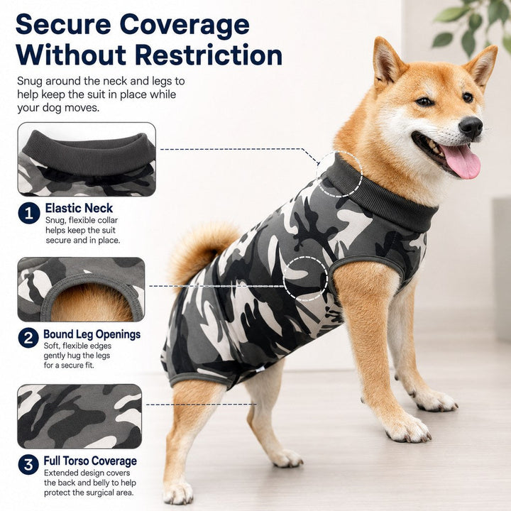 Dog Post-Surgery Recovery Suit for Spay & Neuter | Anti-Lick Cone Alternative