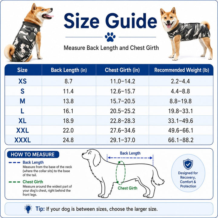 Dog Post-Surgery Recovery Suit for Spay & Neuter | Anti-Lick Cone Alternative
