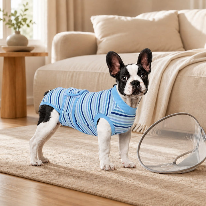 Breathable Dog Recovery Suit for Spay & Neuter Recovery, Soft Cone Alternative Onesie to Help Reduce Licking After Surge