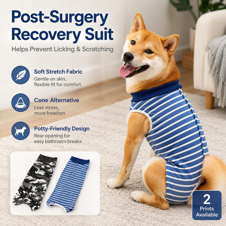 Dog Post-Surgery Recovery Suit for Spay & Neuter | Anti-Lick Cone Alternative