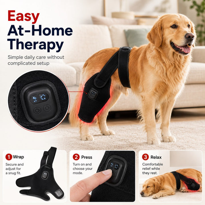 Red light therapy leg brace for dogs, suitable for senior and active dogs, provides comfort and support for hind legs du