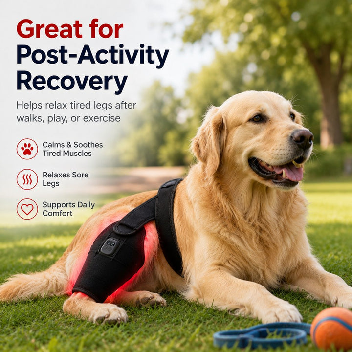 Red light therapy leg brace for dogs, suitable for senior and active dogs, provides comfort and support for hind legs du