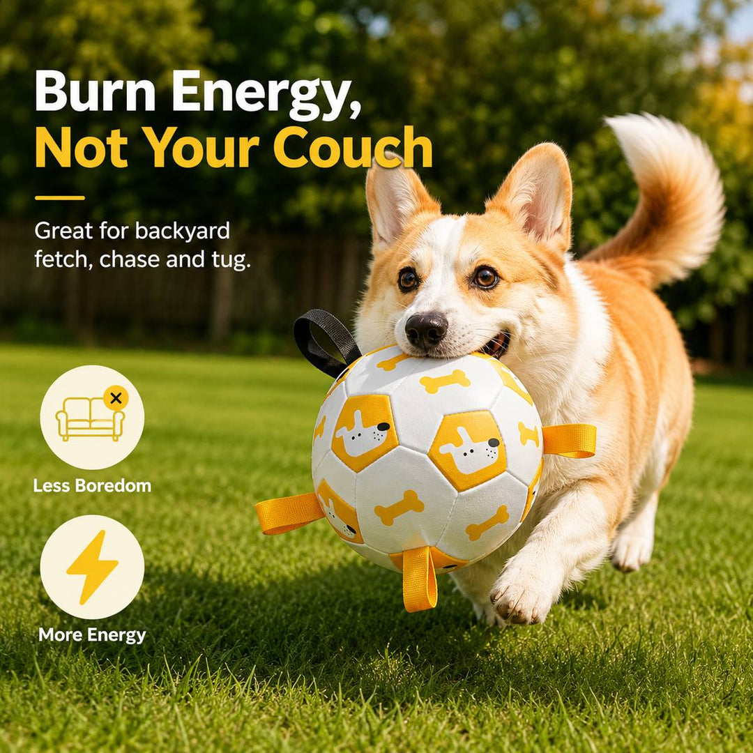 Interactive Dog Soccer Ball with Grab Tabs for Backyard Fetch & Tug