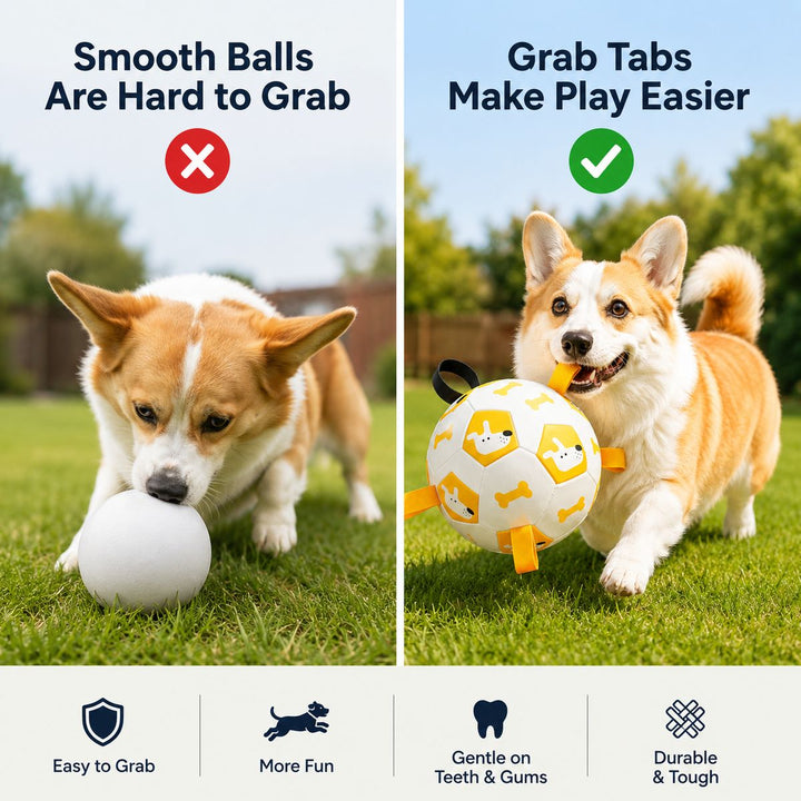 Interactive Dog Soccer Ball with Grab Tabs for Backyard Fetch & Tug