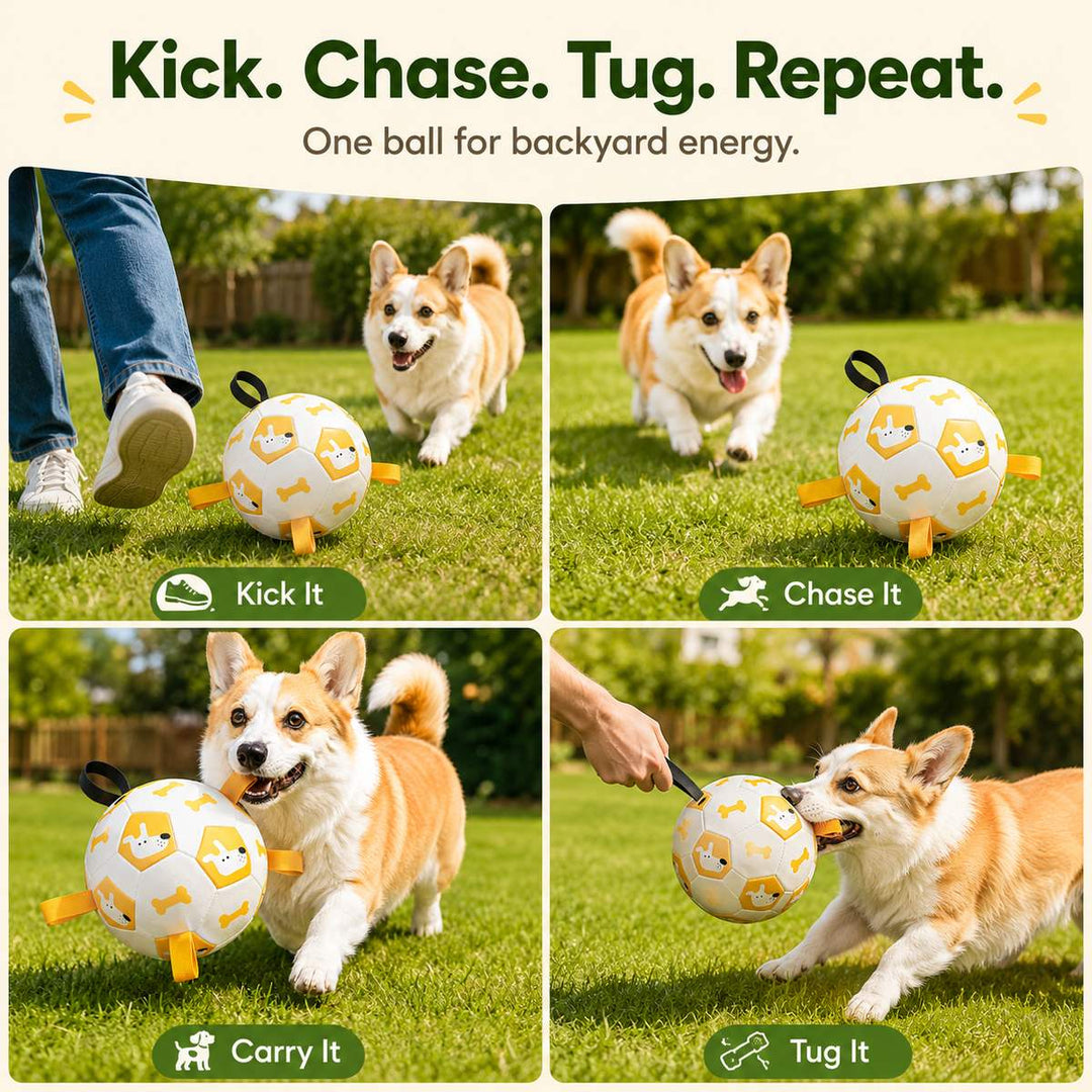 Interactive Dog Soccer Ball with Grab Tabs for Backyard Fetch & Tug