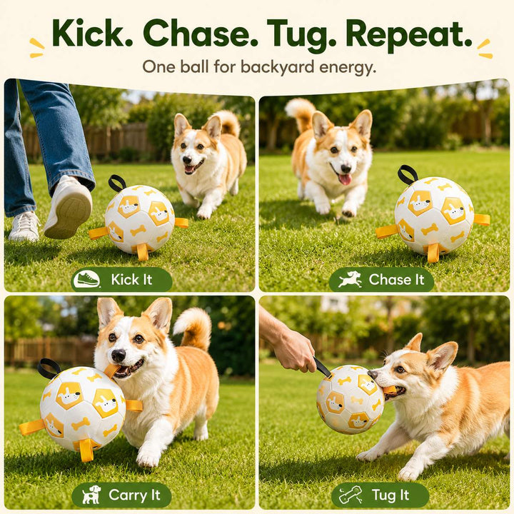 Interactive Dog Soccer Ball with Grab Tabs for Backyard Fetch & Tug