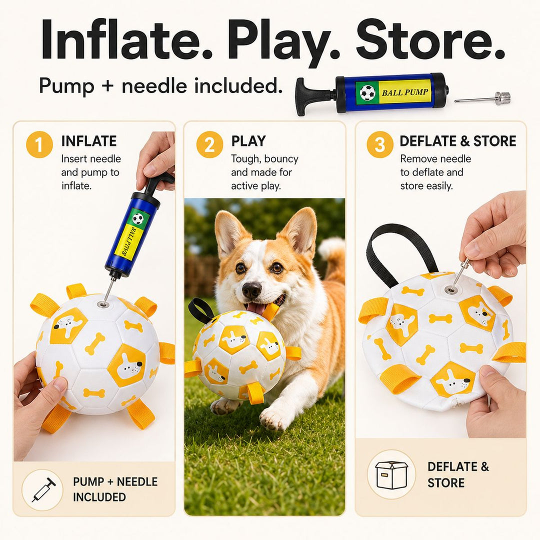 Interactive Dog Soccer Ball with Grab Tabs for Backyard Fetch & Tug