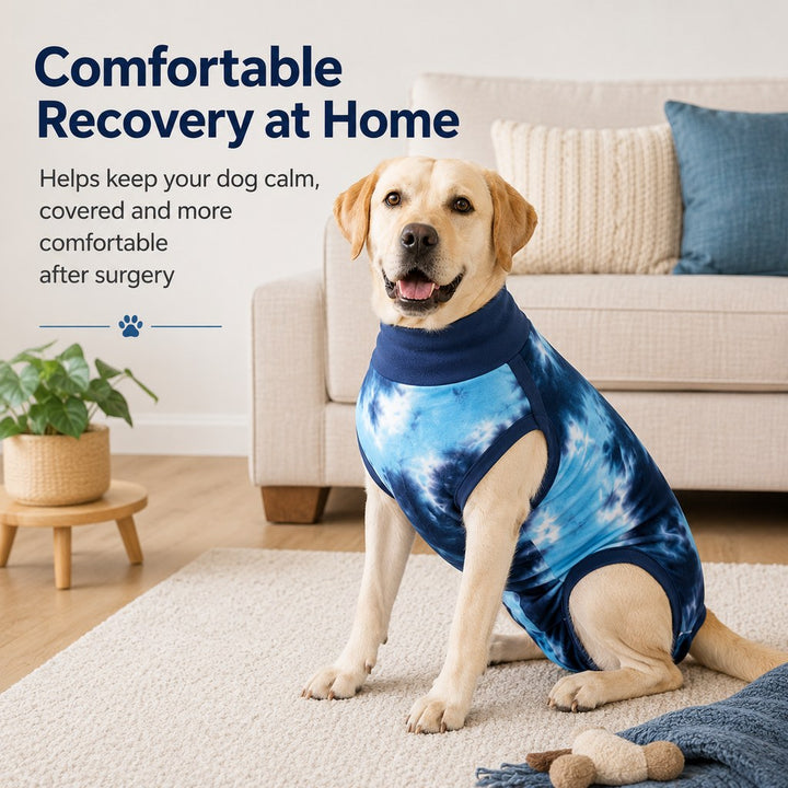 Dog Post Surgery Recovery Suit | Soft Anti-Lick Protective Onesie for Spay Neuter Recovery