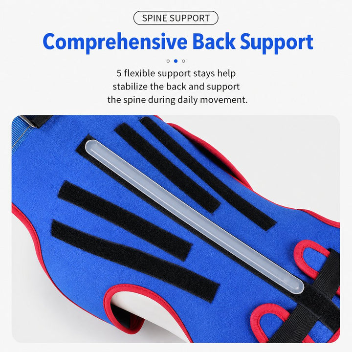 Dog Spine Support Vest for Senior & Recovery Dogs