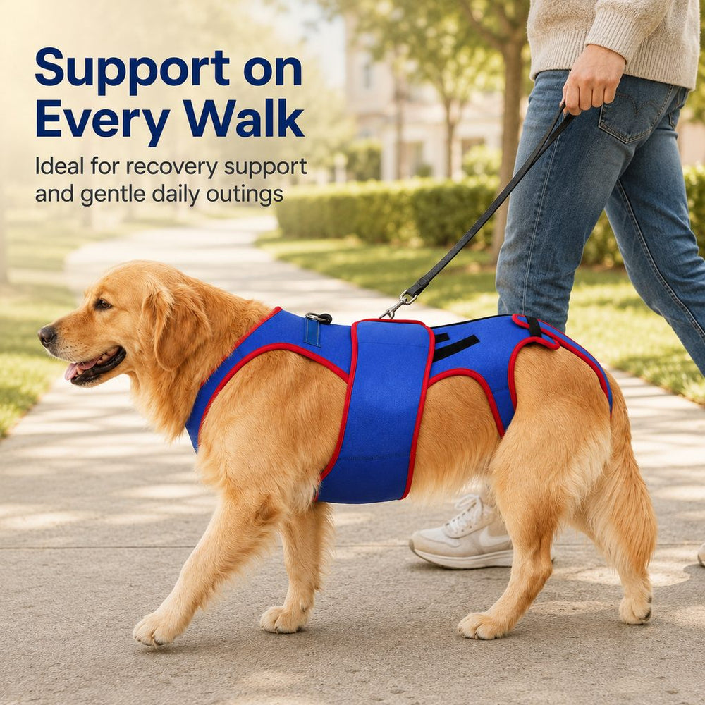 Dog Spine Support Vest for Senior & Recovery Dogs