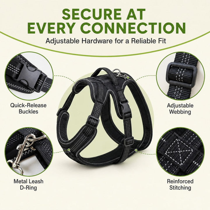 Dual Rear Leg Dog Support Brace with Harness | Walking Stability for Weak Hind Legs