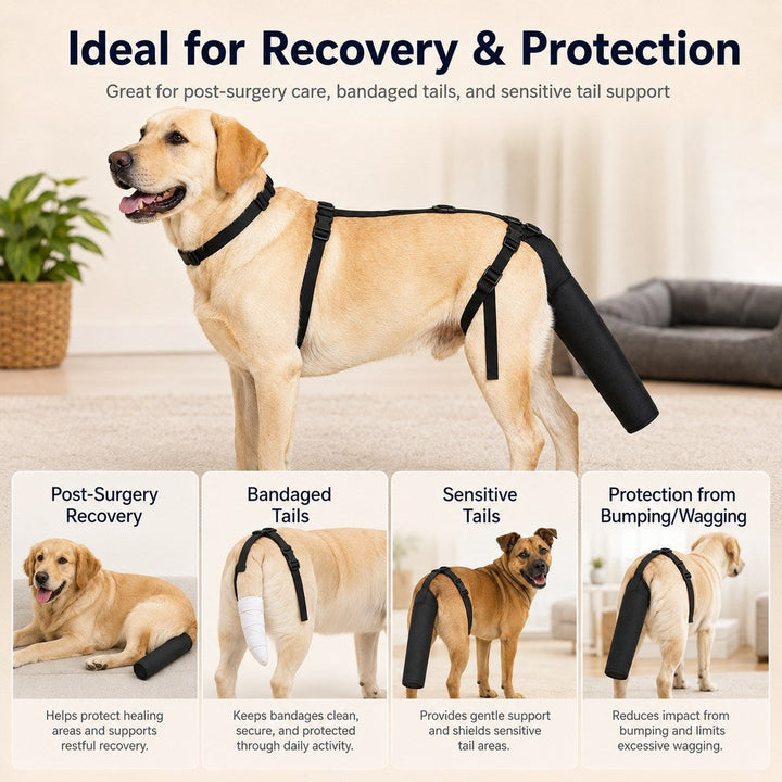 Adjustable Dog Tail Protector for Recovery & Daily Walks | Padded Guard for Sensitive Tails
