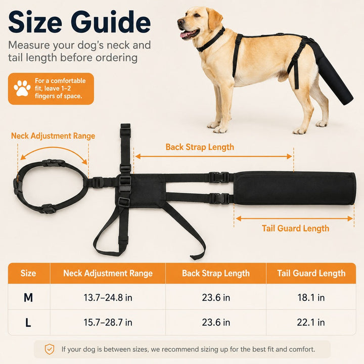 Adjustable Dog Tail Protector for Recovery & Daily Walks | Padded Guard for Sensitive Tails
