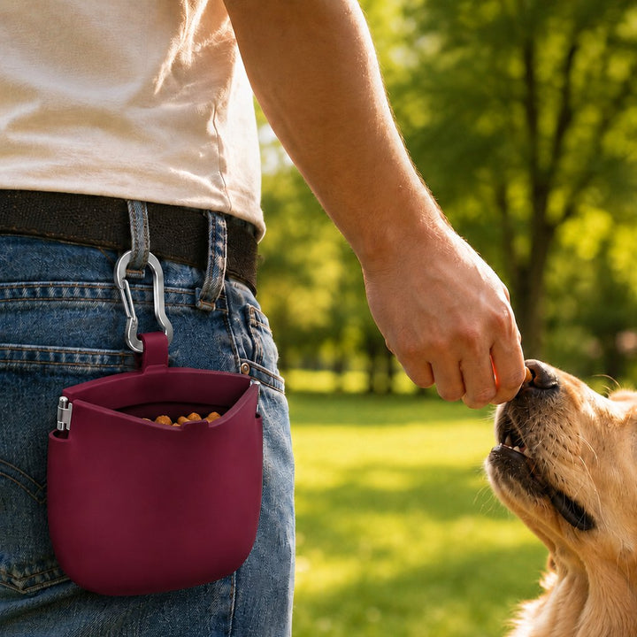 Hands-Free Silicone Dog Treat Pouch for Walks & Training