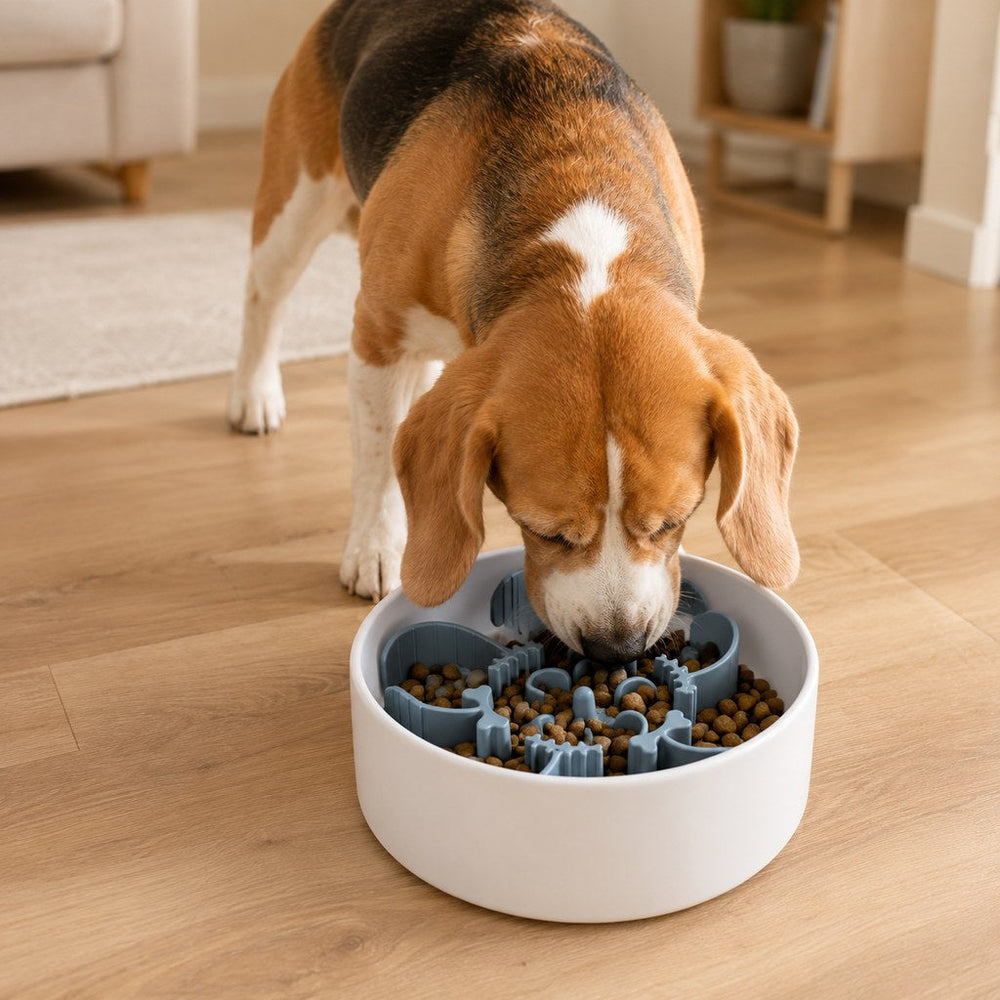 Fishbone Slow Feeder Bowl Insert for Fast-Eating Dogs