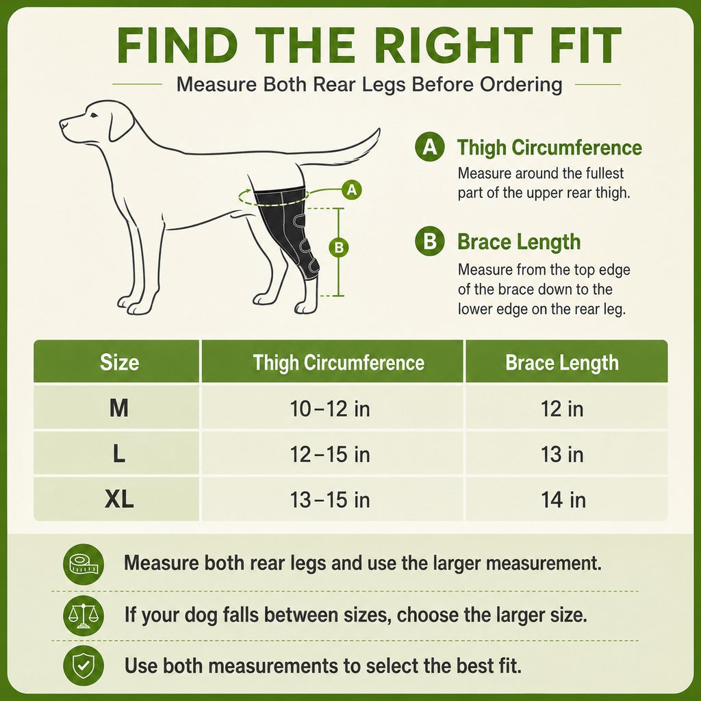 Dual Rear Leg Dog Support Brace with Harness | Walking Stability for Weak Hind Legs