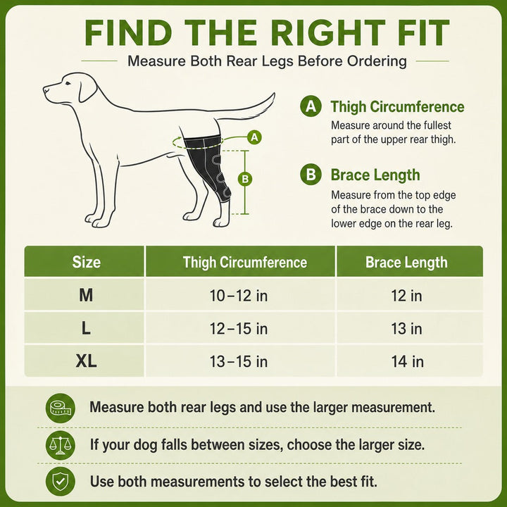 Dual Rear Leg Dog Support Brace with Harness | Walking Stability for Weak Hind Legs