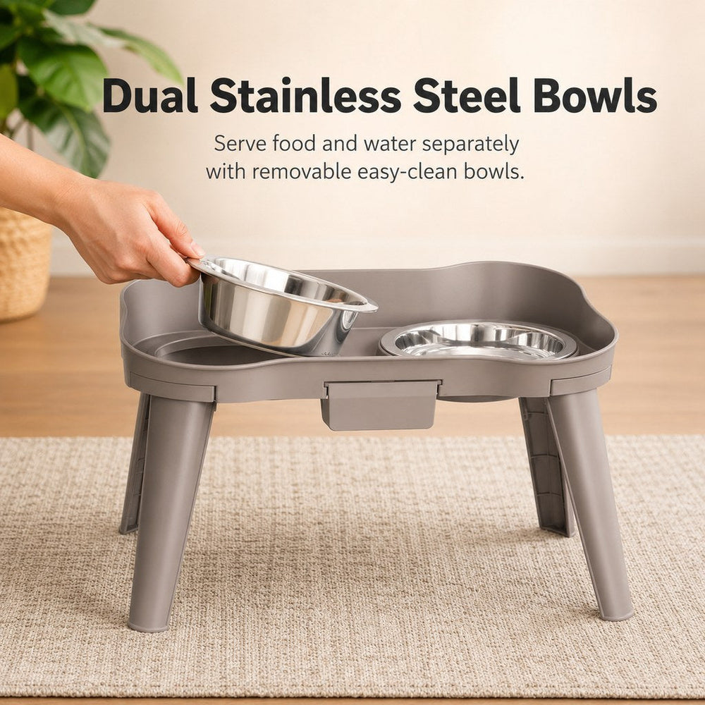 Elevated Pet Feeder with Spill Guard for Cats & Dogs