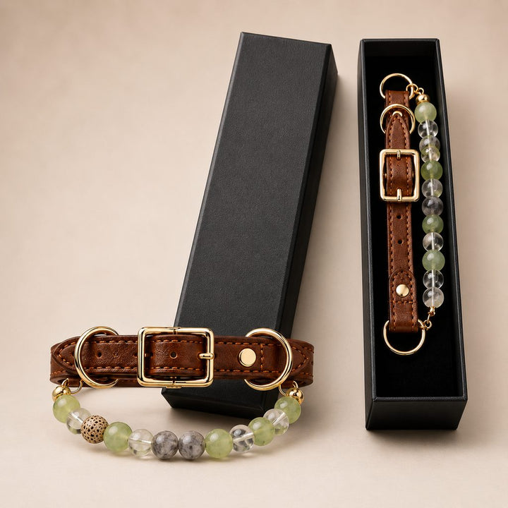 Four Elements Crystal Pet Collar Gift Box for Cats & Small Dogs